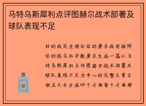 马特乌斯犀利点评图赫尔战术部署及球队表现不足