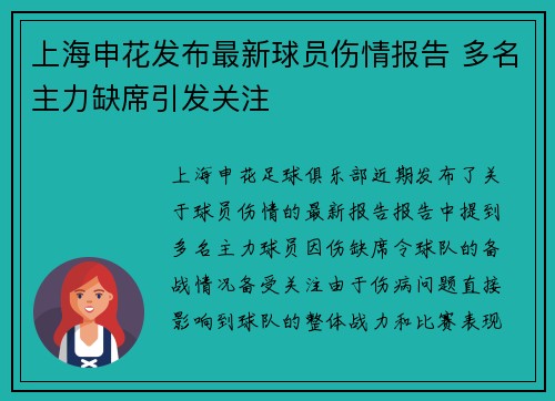 上海申花发布最新球员伤情报告 多名主力缺席引发关注